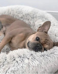 VIP Pet Dog Bed