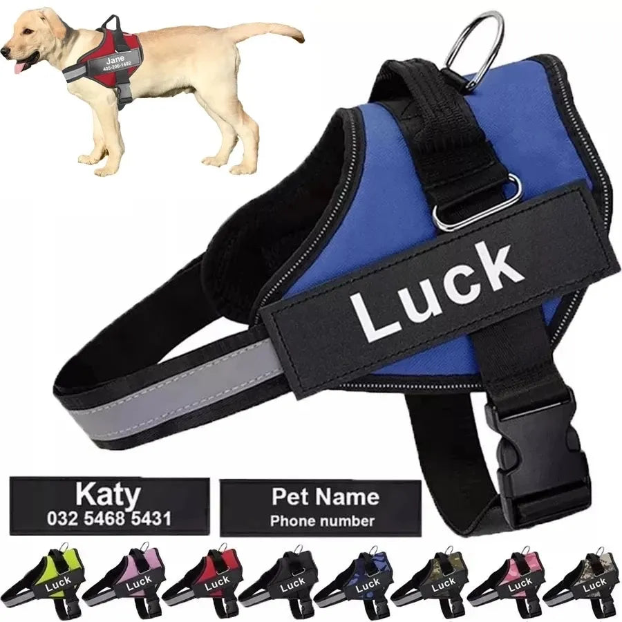 Personalized harness for dog