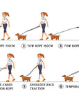 Hands free pet dog leash